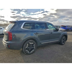 2024 KIA TELLURIDE 5XYP6DGC0RG502258 98593465