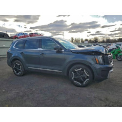 2024 KIA TELLURIDE 5XYP6DGC0RG502258 98593465