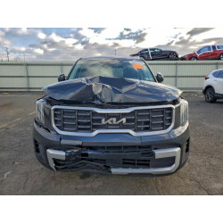 2024 KIA TELLURIDE 5XYP6DGC0RG502258 98593465