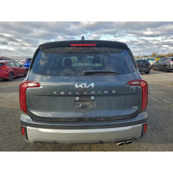 2024 KIA TELLURIDE 5XYP6DGC0RG502258 98593465