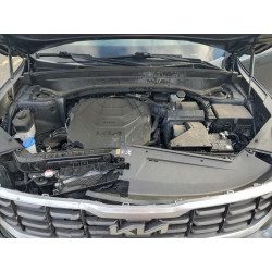 2024 KIA TELLURIDE 5XYP6DGC0RG502258 98593465