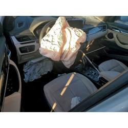 2021 BMW X1 WBXJG9C05M5U13656 99793505