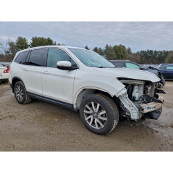 2020 HONDA PILOT 5FNYF6H54LB010217 72831565