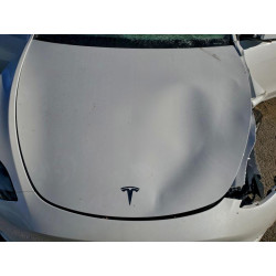 2024 TESLA MODEL Y 7SAYGDEE0RF085479 97123415