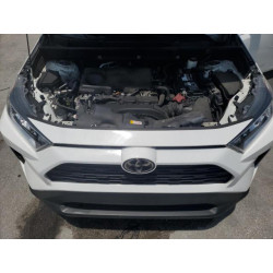2021 TOYOTA RAV4 2T3W1RFV4MC099844 58509785