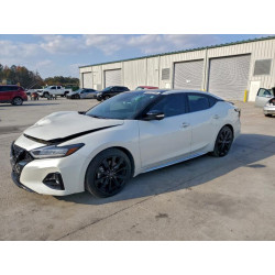 2023 NISSAN MAXIMA 1N4AA6EV3PC504260 93515155