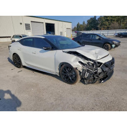 2023 NISSAN MAXIMA 1N4AA6EV3PC504260 93515155