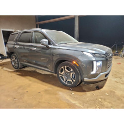 2024 HYUNDAI PALISADE KM8R44GE9RU700573 95800915