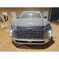 2024 HYUNDAI PALISADE KM8R44GE9RU700573 95800915