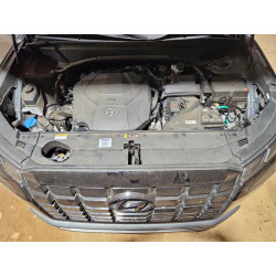 2024 HYUNDAI PALISADE KM8R44GE9RU700573 95800915