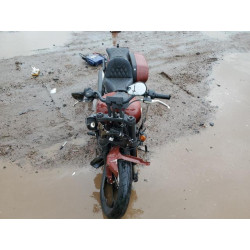 2024 HARLEY-DAVIDSON FXLRST 1HD1YXZ11RB039200 81731575