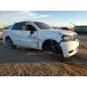 2020 DODGE DURANGO 1C4RDJDG7LC205178 93019735