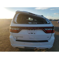 2020 DODGE DURANGO 1C4RDJDG7LC205178 93019735