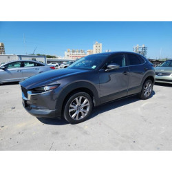 2020 MAZDA CX30 3MVDMBDL0LM122802 85735895
