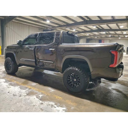 2023 TOYOTA TUNDRA 5TFMA5DB4PX107349 97729865