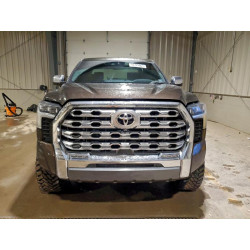 2023 TOYOTA TUNDRA 5TFMA5DB4PX107349 97729865