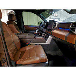 2023 TOYOTA TUNDRA 5TFMA5DB4PX107349 97729865