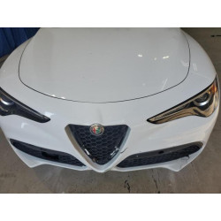 2021 ALFA ROMEO STELVIO ZASPAKBN6M7D08889 80270945