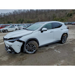 2026 LEXUS NX 350H BA 2T2HKCEZ4TC059807 96618885