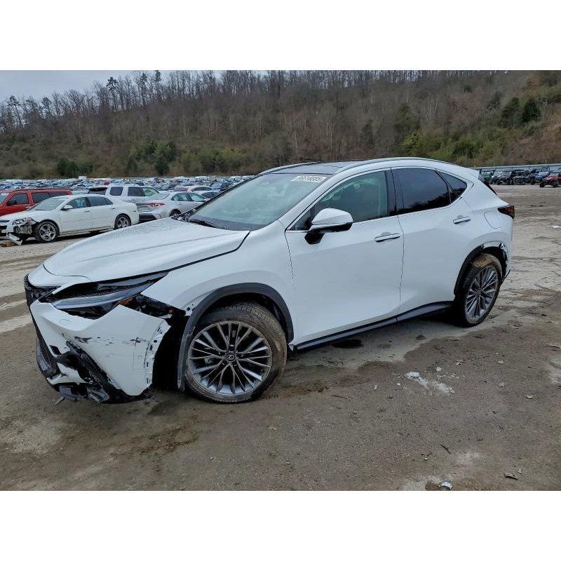 2026 LEXUS NX 350H BA 2T2HKCEZ4TC059807 96618885