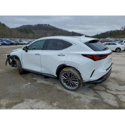 2026 LEXUS NX 350H BA 2T2HKCEZ4TC059807 96618885