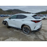 2026 LEXUS NX 350H BA 2T2HKCEZ4TC059807 96618885