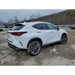 2026 LEXUS NX 350H BA 2T2HKCEZ4TC059807 96618885