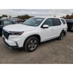 2025 HONDA PILOT 5FNYG1H43SB066316 90328025