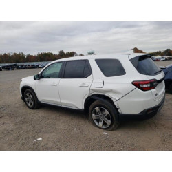 2025 HONDA PILOT 5FNYG1H43SB066316 90328025