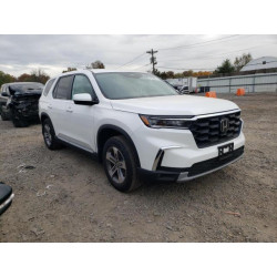 2025 HONDA PILOT 5FNYG1H43SB066316 90328025