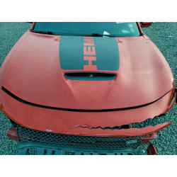 2020 DODGE CHARGER 2C3CDXCT4LH106455 95532715