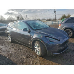 2024 TESLA MODEL Y 7SAYGDEE4RA242461 99616355