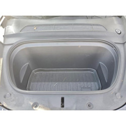 2024 TESLA MODEL Y 7SAYGDEE4RA242461 99616355