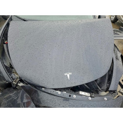 2024 TESLA MODEL Y 7SAYGAEE3RF063829 93368885