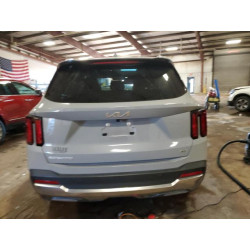 2025 KIA CADENZA 5XYRLDJC1SG347512 86643055