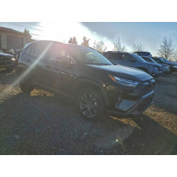 2023 TOYOTA RAV4 JTMB6RFV8PD080813 97021765