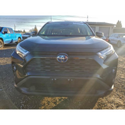 2023 TOYOTA RAV4 JTMB6RFV8PD080813 97021765