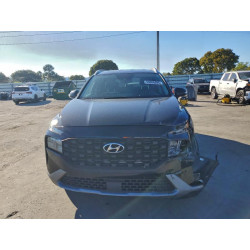 2023 HYUNDAI SANTA FE 5NMS24AJ5PH495002 99006095