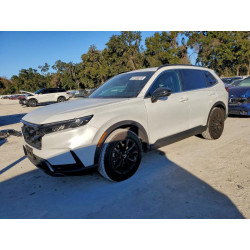2025 HONDA CRV 7FARS6H81SF012584 97158315