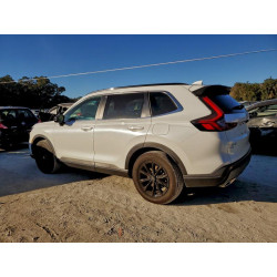 2025 HONDA CRV 7FARS6H81SF012584 97158315