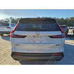 2025 HONDA CRV 7FARS6H81SF012584 97158315