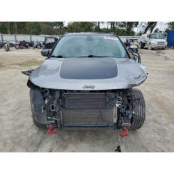 2020 JEEP COMPASS 3C4NJDDB0LT196034 98759215