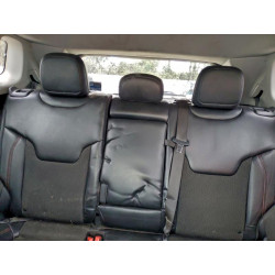 2020 JEEP COMPASS 3C4NJDDB0LT196034 98759215