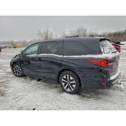 2025 HONDA All Models 5FNRL6H67SB013942 97585515