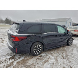 2025 HONDA All Models 5FNRL6H67SB013942 97585515