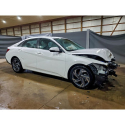 2025 HYUNDAI ELANTRA KMHLP4DGXSU051133 99421915