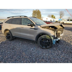 2024 KIA SORENTO 5XYRHDJF6RG302832 91910195