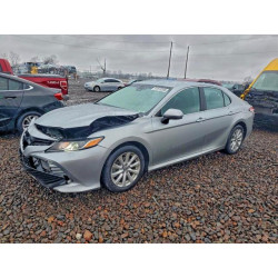 2020 TOYOTA CAMRY 4T1C11AK2LU345104 97613305