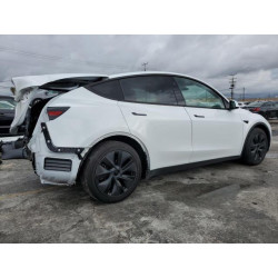 2024 TESLA MODEL Y 7SAYGAEE6RF169305 93116245