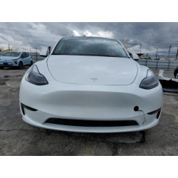 2024 TESLA MODEL Y 7SAYGAEE6RF169305 93116245